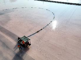 Raw Salt Harvest in Lianyungang