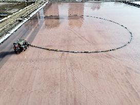 Raw Salt Harvest in Lianyungang