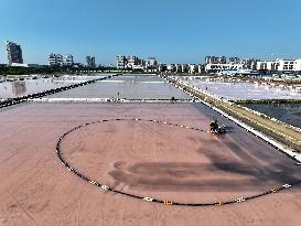 Raw Salt Harvest in Lianyungang