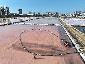 Raw Salt Harvest in Lianyungang