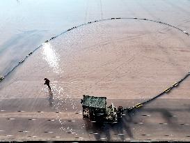 Raw Salt Harvest in Lianyungang