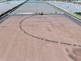 Raw Salt Harvest in Lianyungang