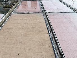 Raw Salt Harvest in Lianyungang