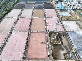 Raw Salt Harvest in Lianyungang