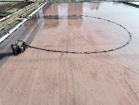 Raw Salt Harvest in Lianyungang