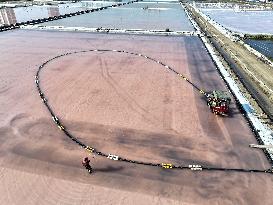 Raw Salt Harvest in Lianyungang