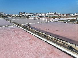 Raw Salt Harvest in Lianyungang