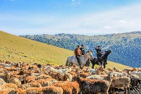 Police Help Herders With The Autumn Migration of Livestock