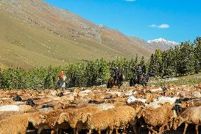 Police Help Herders With The Autumn Migration of Livestock