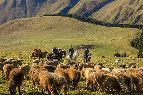 Police Help Herders With The Autumn Migration of Livestock