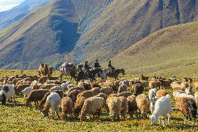 Police Help Herders With The Autumn Migration of Livestock