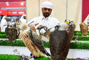 8th Katara International Hunting And Falcons Exhibition 2024