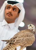 8th Katara International Hunting And Falcons Exhibition 2024