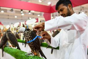 8th Katara International Hunting And Falcons Exhibition 2024