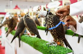 8th Katara International Hunting And Falcons Exhibition 2024