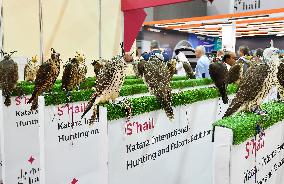 8th Katara International Hunting And Falcons Exhibition 2024