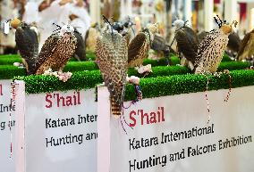 8th Katara International Hunting And Falcons Exhibition 2024