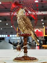 8th Katara International Hunting And Falcons Exhibition 2024