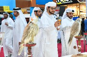 8th Katara International Hunting And Falcons Exhibition 2024