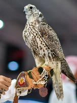 8th Katara International Hunting And Falcons Exhibition 2024