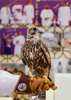 8th Katara International Hunting And Falcons Exhibition 2024