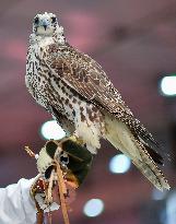 8th Katara International Hunting And Falcons Exhibition 2024