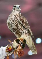 8th Katara International Hunting And Falcons Exhibition 2024