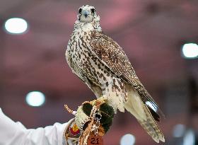 8th Katara International Hunting And Falcons Exhibition 2024