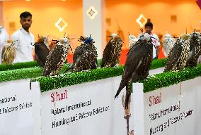 8th Katara International Hunting And Falcons Exhibition 2024