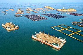 Experimental Field of Far-reaching Marine Aquaculture Project in Fuzhou