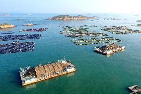 Experimental Field of Far-reaching Marine Aquaculture Project in Fuzhou