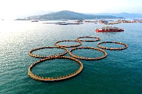 Experimental Field of Far-reaching Marine Aquaculture Project in Fuzhou