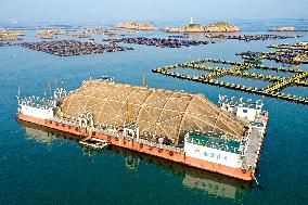 Experimental Field of Far-reaching Marine Aquaculture Project in Fuzhou