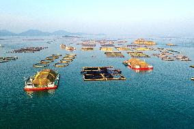 Experimental Field of Far-reaching Marine Aquaculture Project in Fuzhou