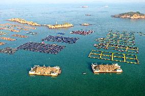 Experimental Field of Far-reaching Marine Aquaculture Project in Fuzhou