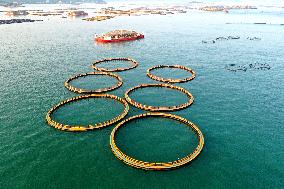 Experimental Field of Far-reaching Marine Aquaculture Project in Fuzhou