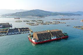 Experimental Field of Far-reaching Marine Aquaculture Project in Fuzhou