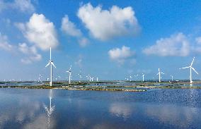 Coastal Beach Wind Power