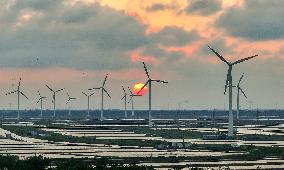 Coastal Beach Wind Power