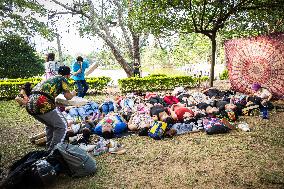 Medellin - Eco Fest 2024