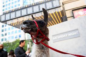 TIFF - Saturday Night Premiere