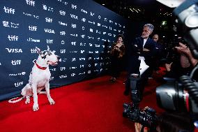 TIFF - The Friend Premiere