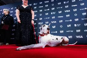 TIFF - The Friend Premiere