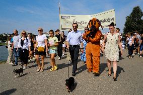 26th Dachshund March In Krakow