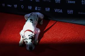 2024 Toronto International Film Festival - "The Friend" Premiere