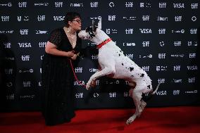 2024 Toronto International Film Festival - "The Friend" Premiere