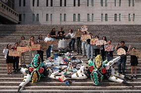 Press Conference Criticizing South Korean Government’s Response To Plastic Agreement In Seoul