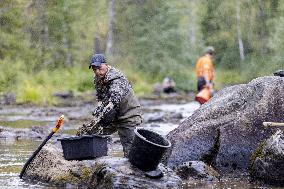 Mitä uutta tulee ilmi Suomussalmella yliajettujen raakkujen tilanteesta?