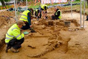 Archaeologists Discover New Bones - Waterloo