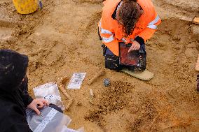 Archaeologists Discover New Bones - Waterloo